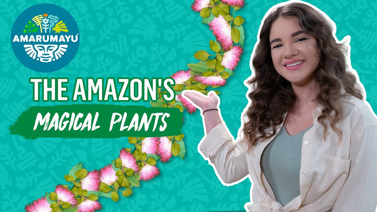 Discover the MAGICAL plants of the AMAZON | AMARUMAYU Community