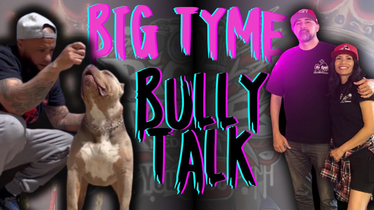 Тур по питомнику Big Tyme @Bigtymebullyzmedia1