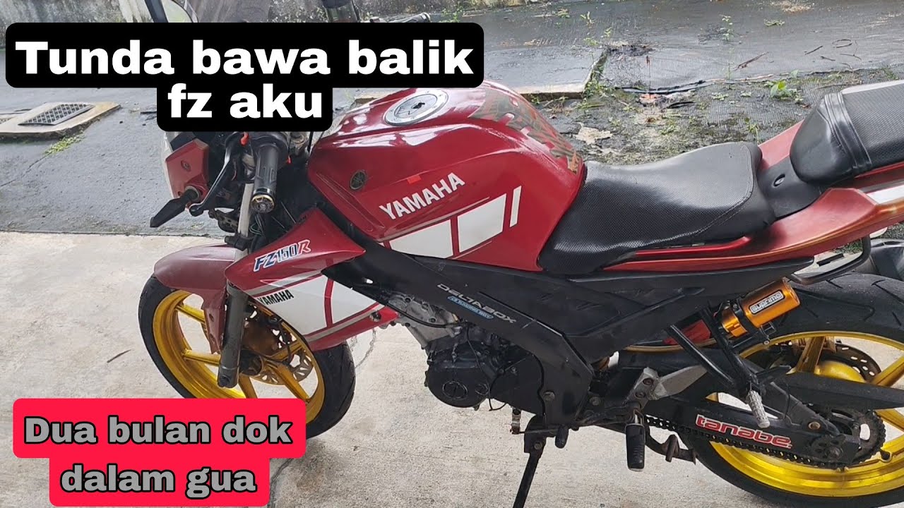 hantar hidup | pomen serender tak berjaya hidupkan fz aku | part 1 | kenal pasti punca