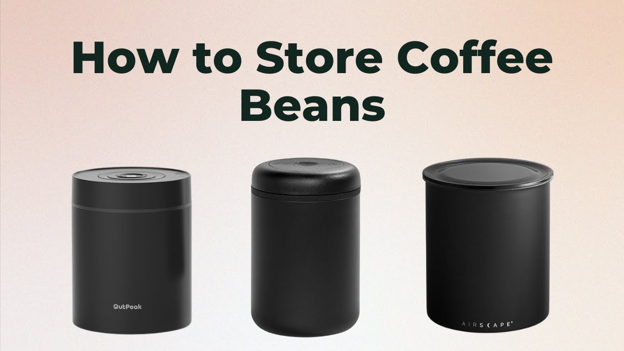 The Best Way to Store Coffee Beans