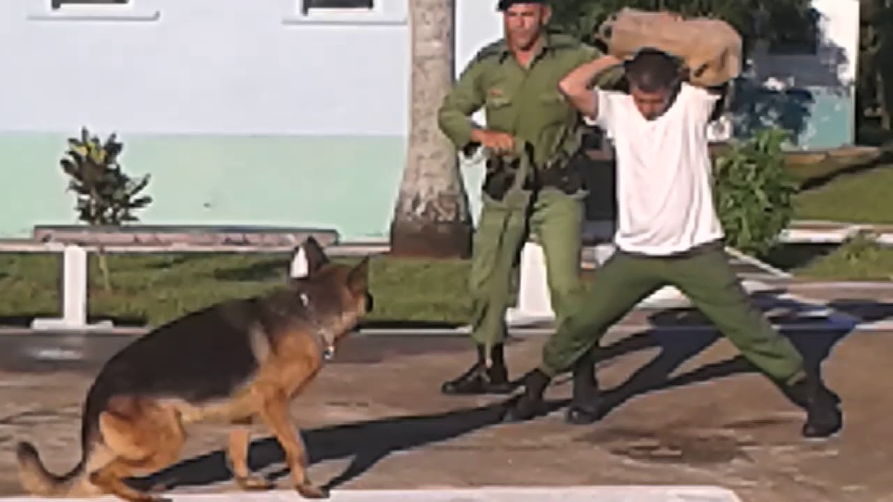 Exposición de brigada especial de Villa clara 2016