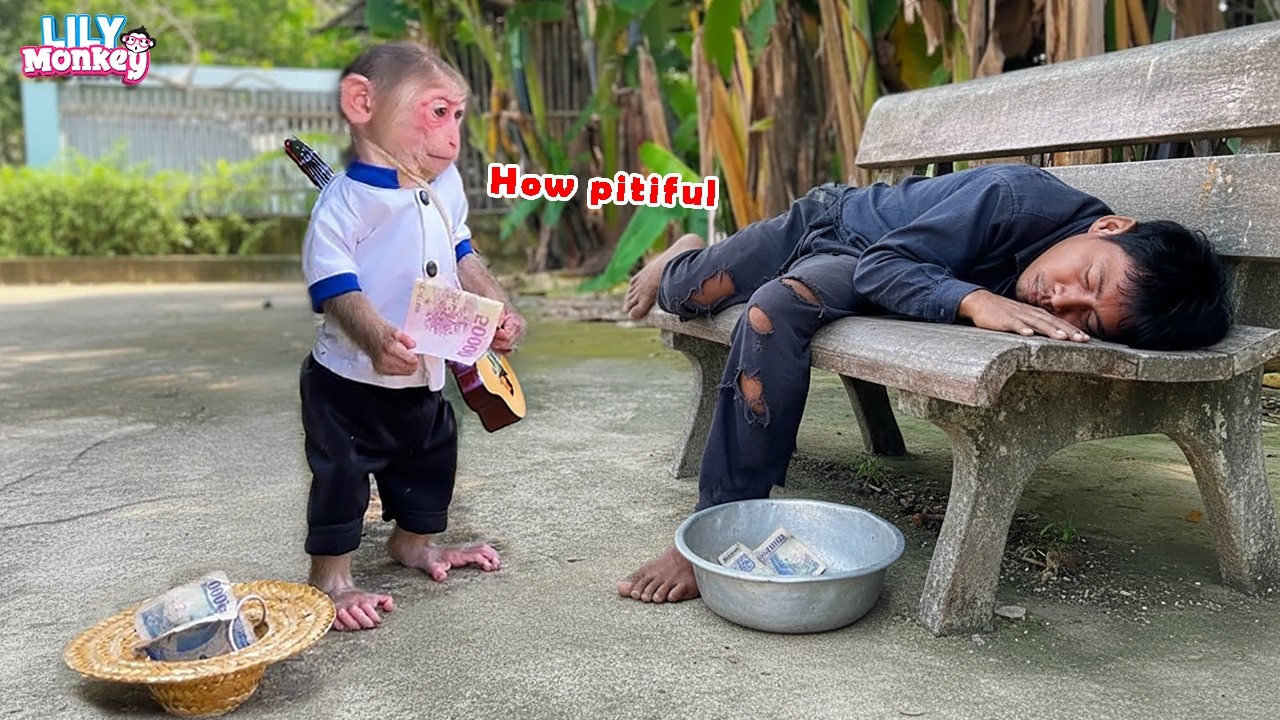 So pitiful..! Lily couldn't ignore the homeless man | Lily's story