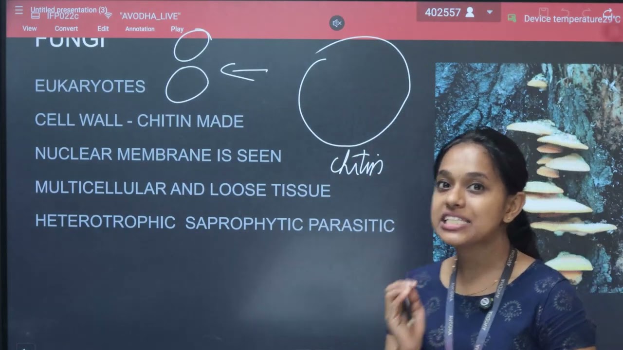 🌿Need for Classification| 2–5 Kingdom Classification| Plus One Botany📘|Avodha Free Learning Platform
