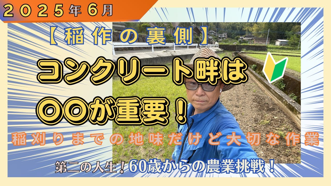 【2025稲作シリーズ①】コンクリート畔は〇〇が重要！稲刈りまでの地味だけど大切な作業