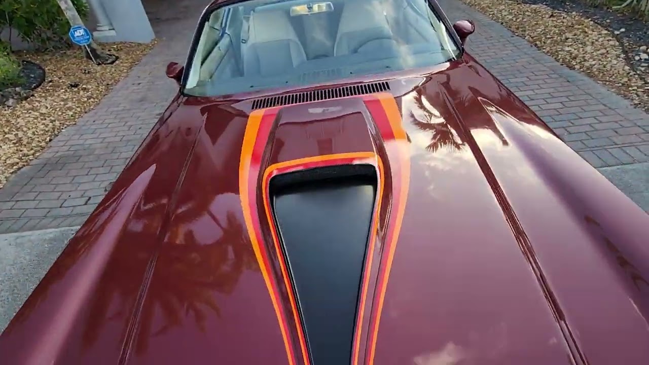 1979 Chevrolet Camaro Z28 Matching #'s 350, 4 Speed Manual, T/Tops and 19k Miles.
