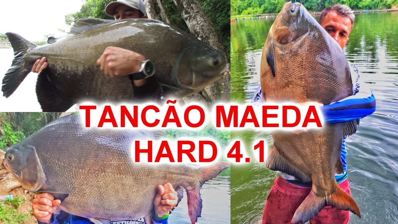 TANCÃO DO MAEDA MODO HARD 4.1 / SAIU O PRIMEIRO GOIANO?