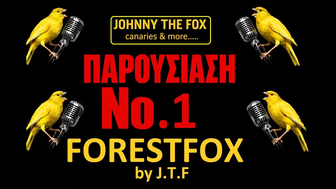 FORESTFOX CANARY ΠΑΡΟΥΣΙΑΣΗ Νο 1