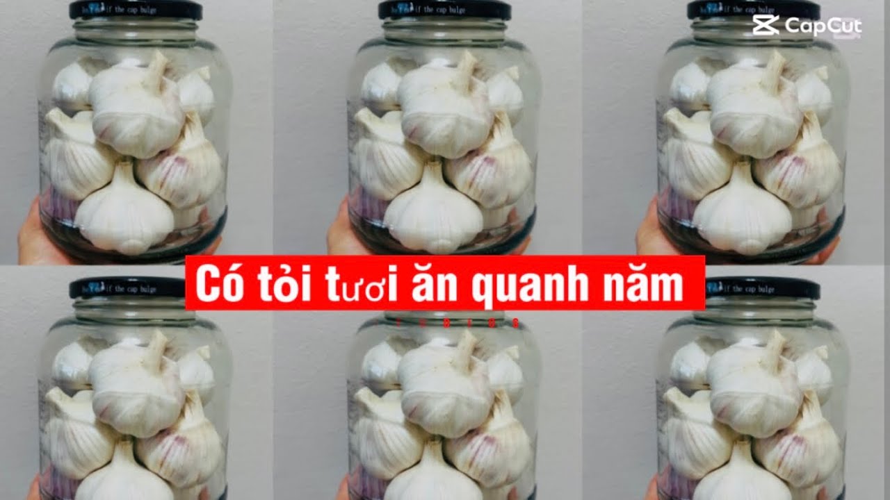 4 CÁCH BẢO QUẢN TỎI HIỆU QUẢ NHẤT , TỎI ĐỂ CẢ NĂM MÀ KO BỊ XỐP, KO HƯ, KO MỘC MẦM 