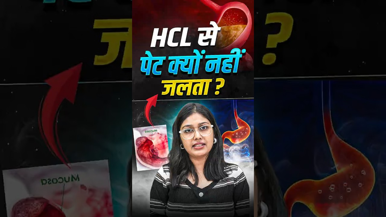 HCL से पेट क्यों नहीं जलता 😨😨 || 