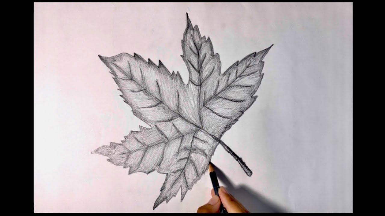 How to draw a leaf 🍁 | Pencil sketch | step by step | easy way to draw 