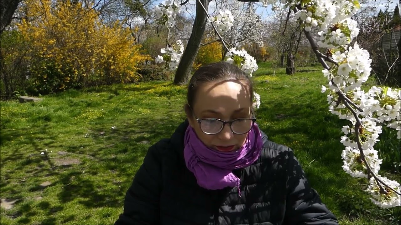 Tydzień kwiatu wiśni (w perfumach nie tylko)