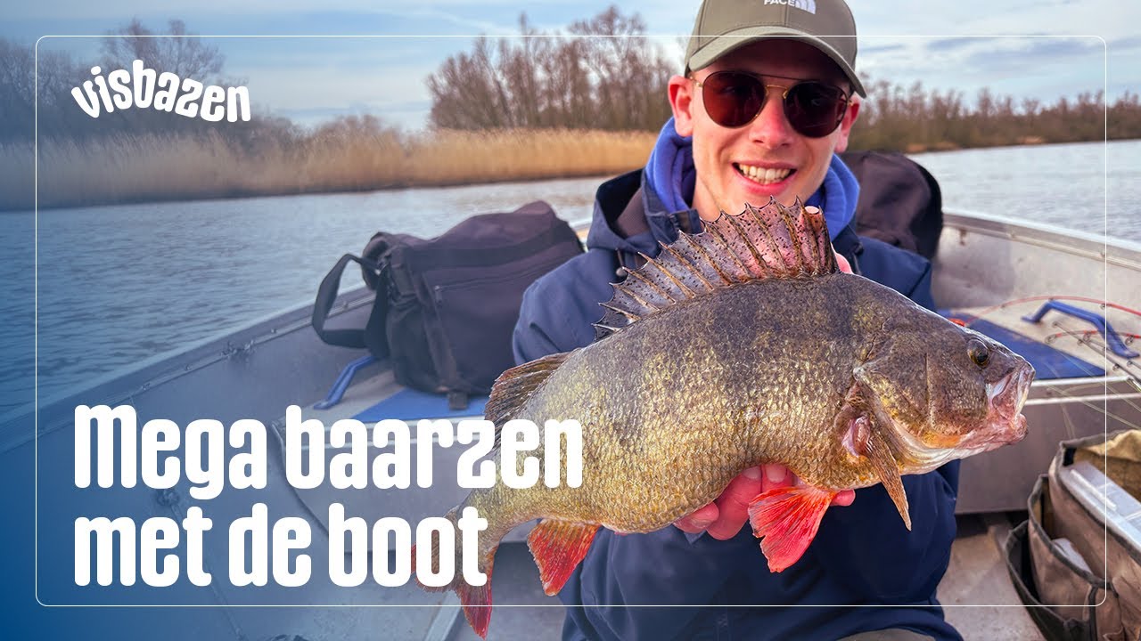 MEGA BAARZEN met de BOOT & Roofvisevenement | VISbazen #2