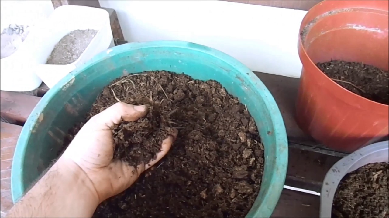 Como Reciclar a Terra para usar outra vez.