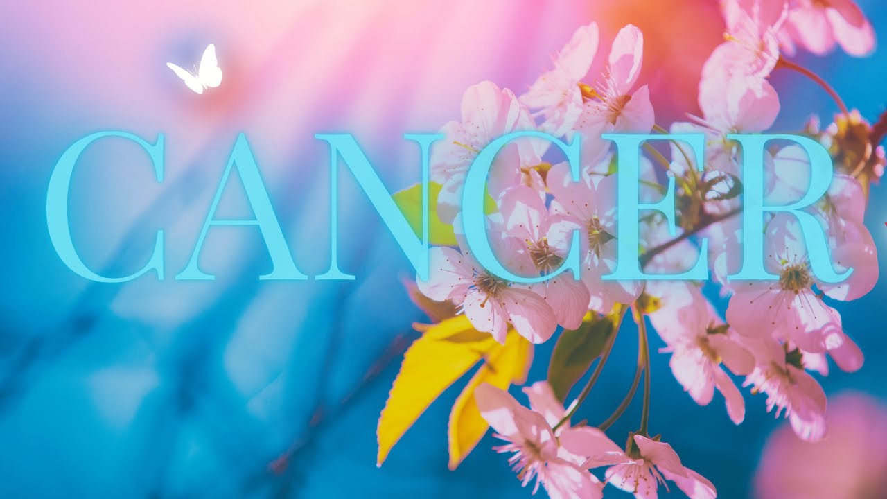 CANCER 💓THIS SHIFT IS SO BEAUTIFUL & POWERFUL! TRUE DIVINE BLESSING! CANCER LOVE TAROT READING
