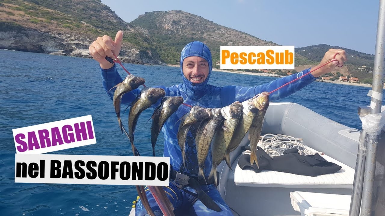PescaSub Saraghi nel Bassofondo