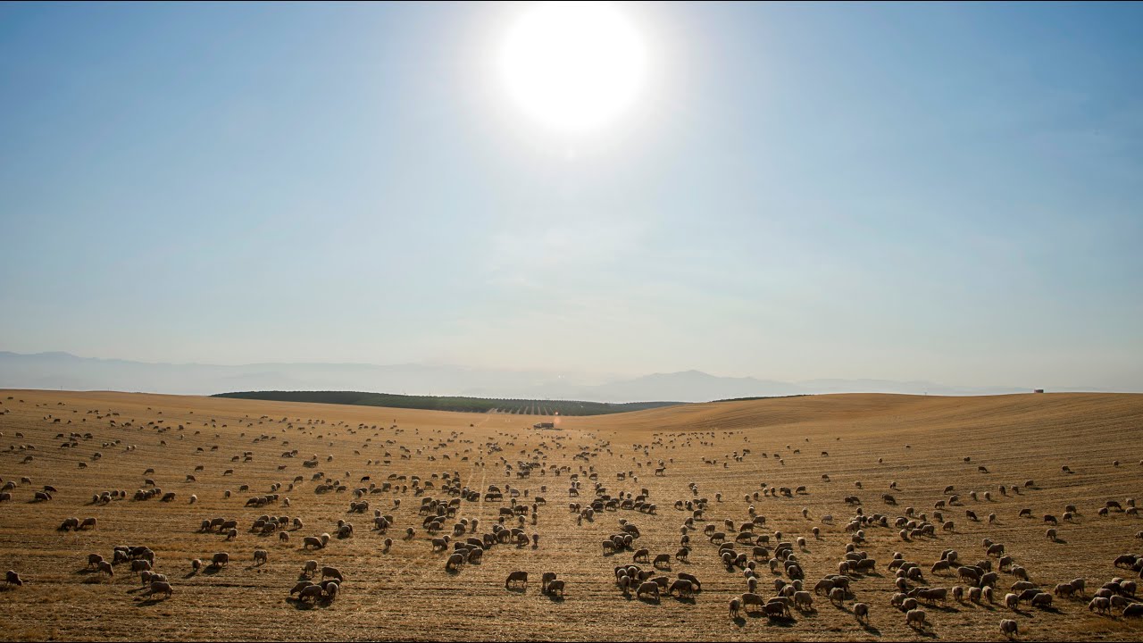 Australia Wants to Be Net Zero by 2050