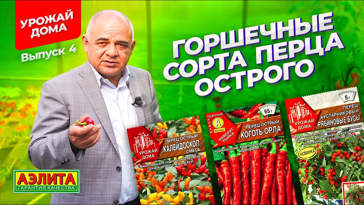 Острые перцы для выращивания в горшке! КОМНАТНЫЕ ПЕРЦЫ.