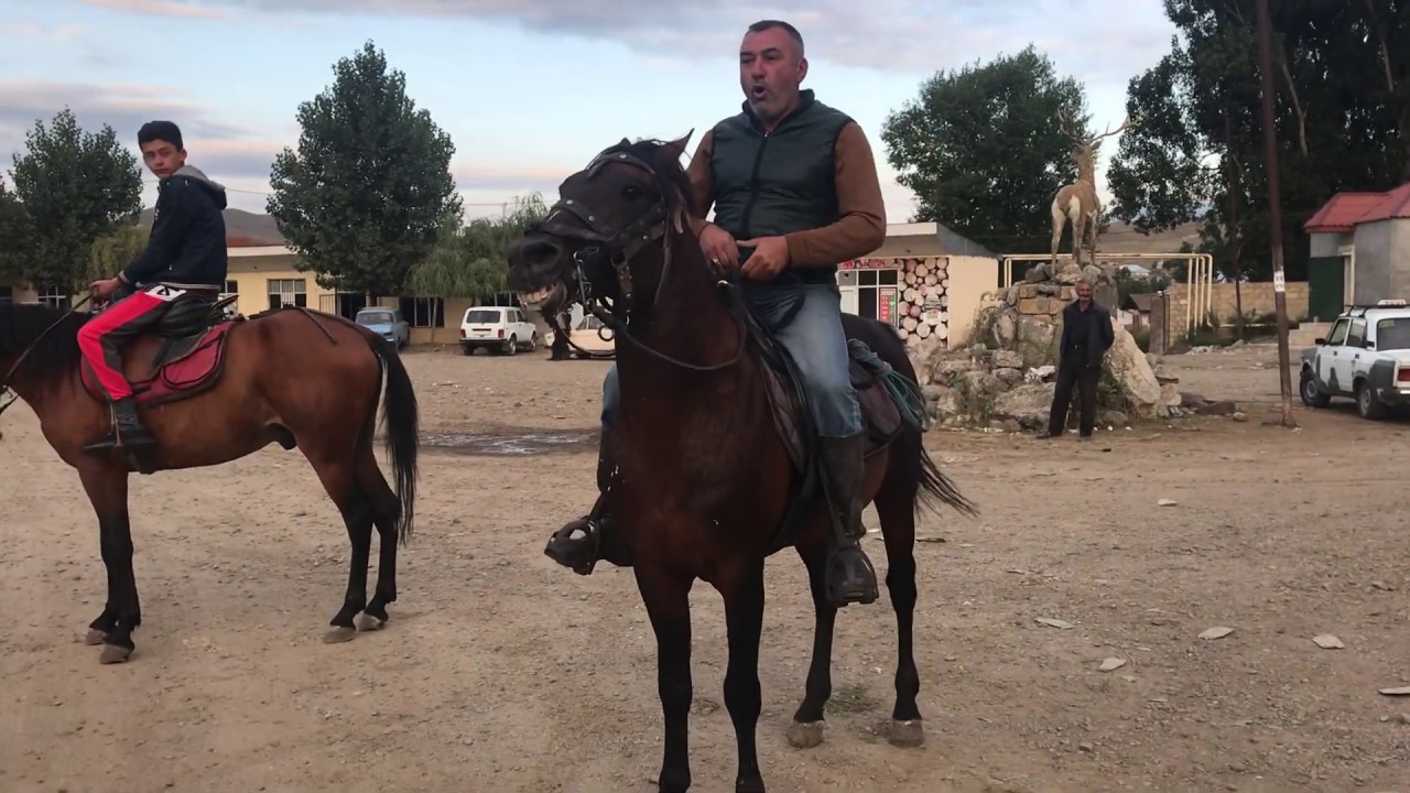 Yorga Atlar (Xoshbulaq) Qaraxan efirde😍