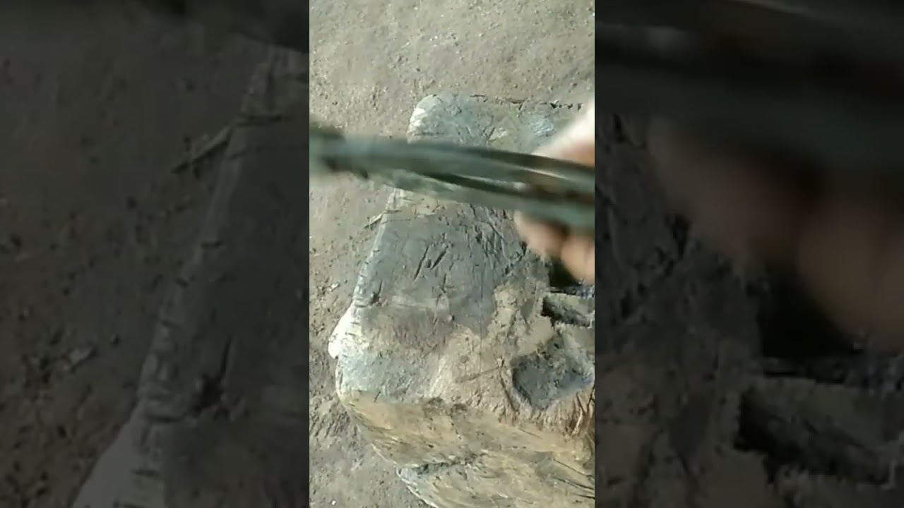 mngeraskan catok bonsai #short#shortvideo
