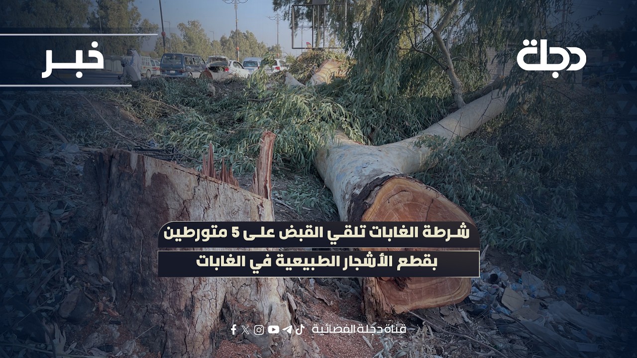 شرطة الغابات في السليمانية تلقي القبض على 5 متورطين بقطع الأشجار الطبيعية في الغابات