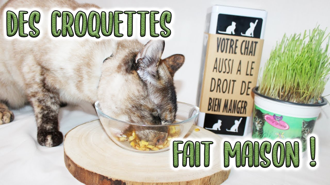 COOKAT | DES CROQUETTES FAIT MAISON !