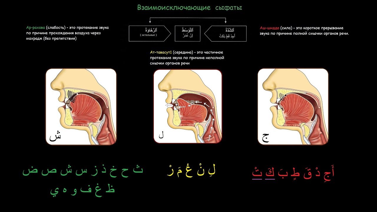 2 курс. 16 урок. Аш-шидда, ар-рохава, ат-тавасут1