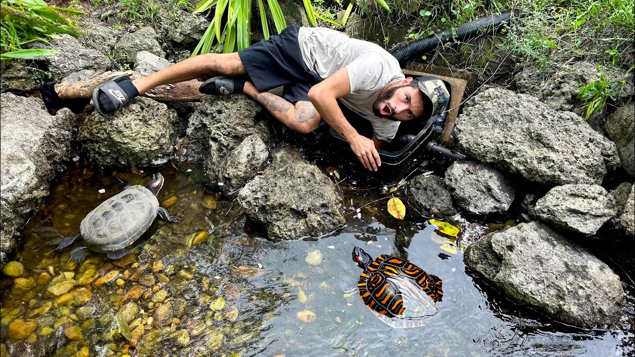 I Discovered a Creature in My Aviary Pond!
