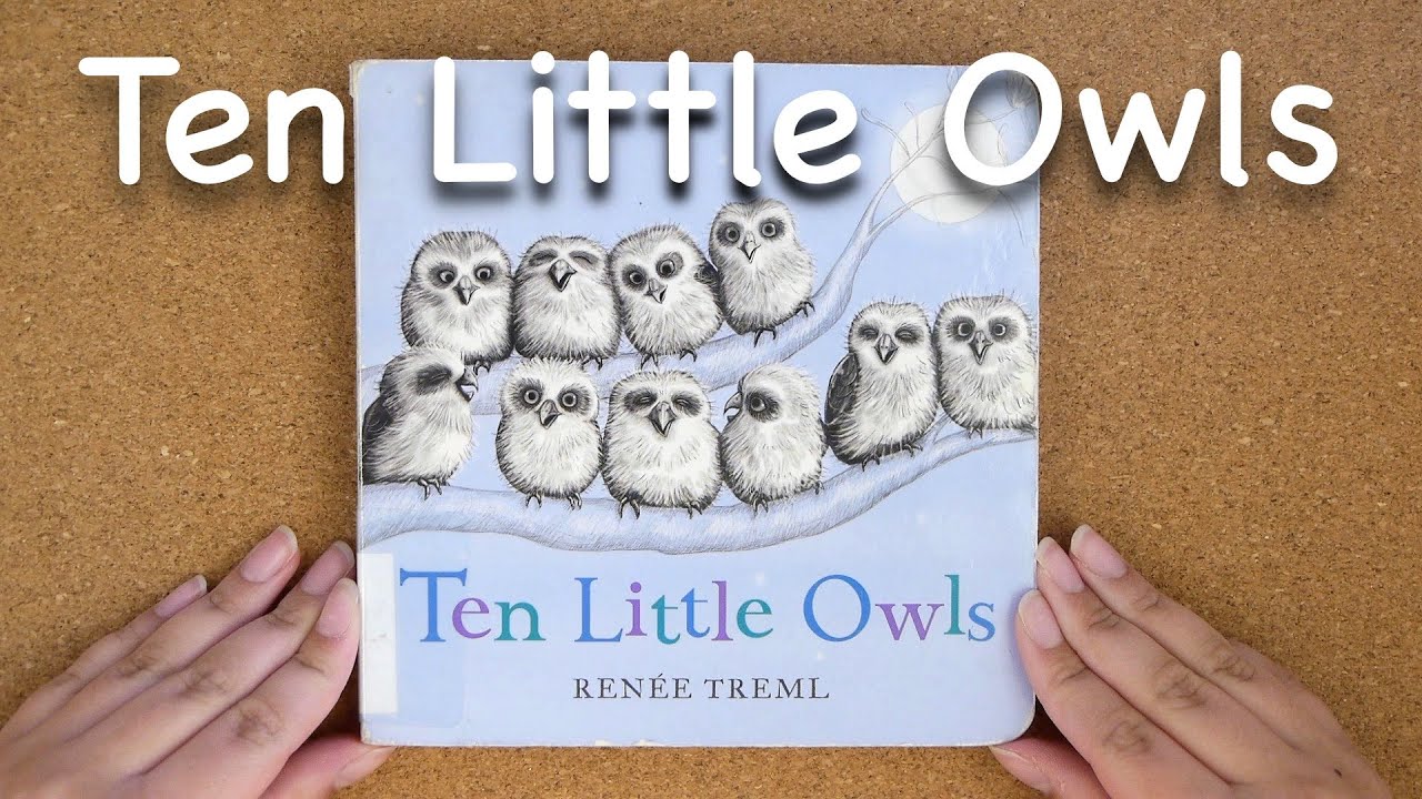 Reece Reads (Ten Little Owls)