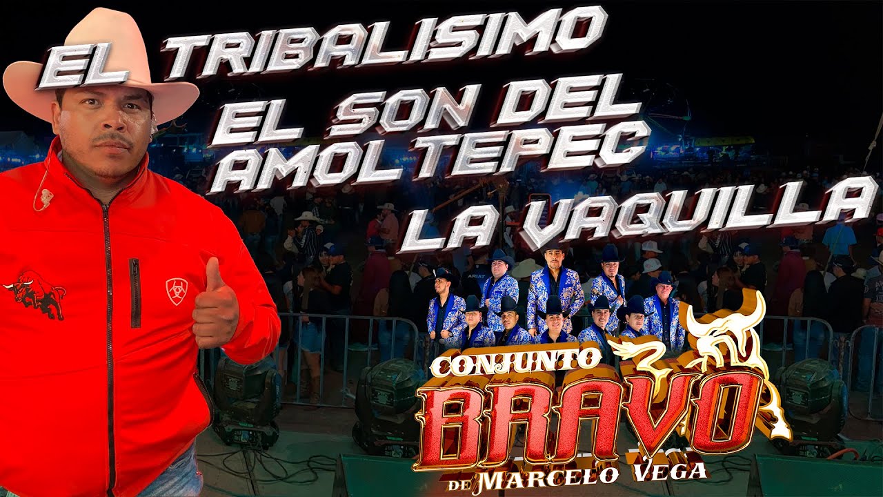 El Tribalisimo |El Son del Amoltepec |La Vaquilla / Conjunto Bravo - La Ventilla - Dolores Hidalgo