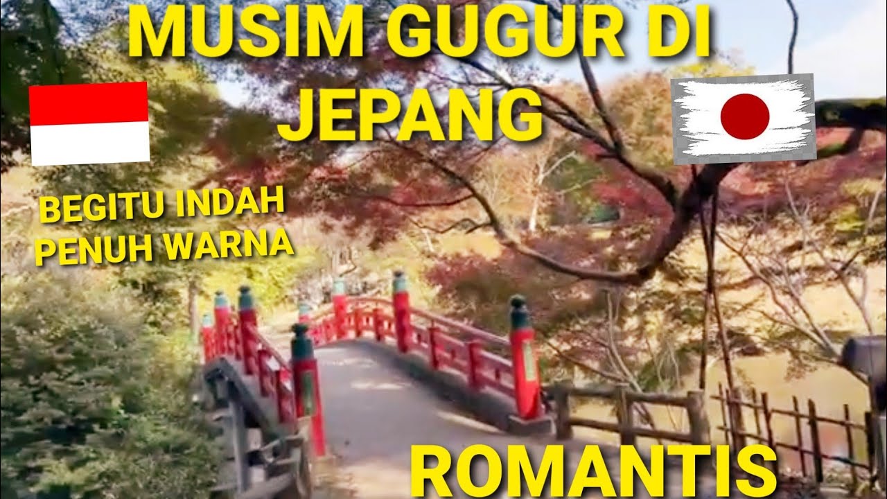 DAUN MERAH /MOMIJI SAAT MUSIM GUGUR SUASANA YG DI TUNGGU ORANG JEPANG UNTK POTO PRAWEDING