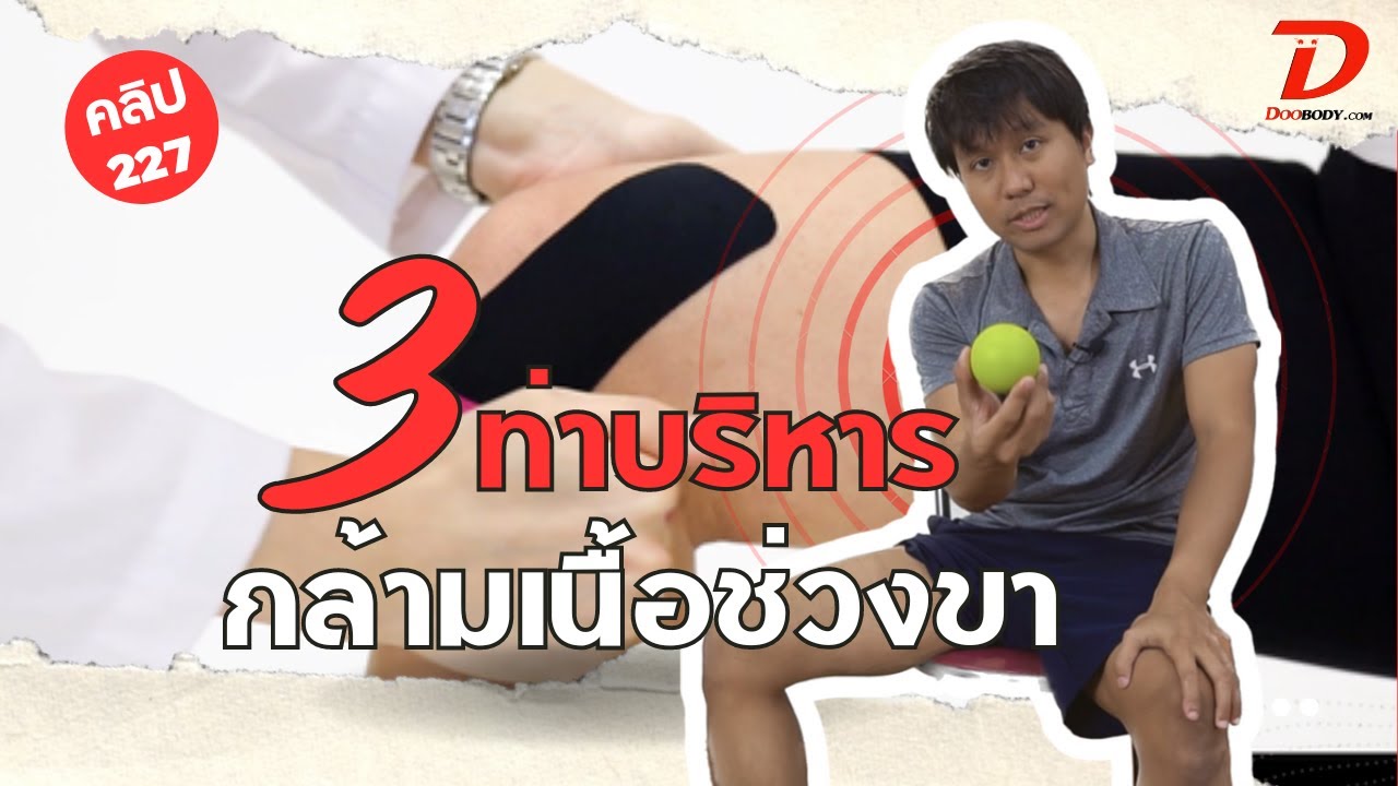 [คลิป 227] เจ็บเข่าด้านใน ที่ไม่ได้มาจากเข่าเสื่อม เป็นแค่หน้าขาตึงเท่านั้น (vastus medialis muscle)