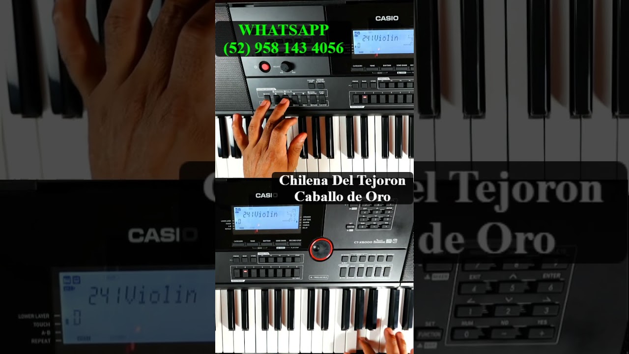 Ritmo Chilena Del Tejoron Grupo Caballo de Oro Casio Ctx700
