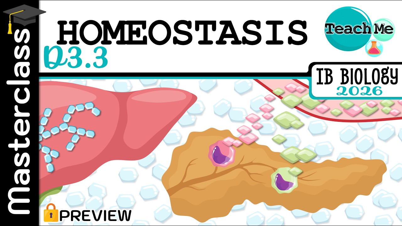 (D3.3) - Homeostasis [Masterclass - Preview] - IB Biology (SL/HL)