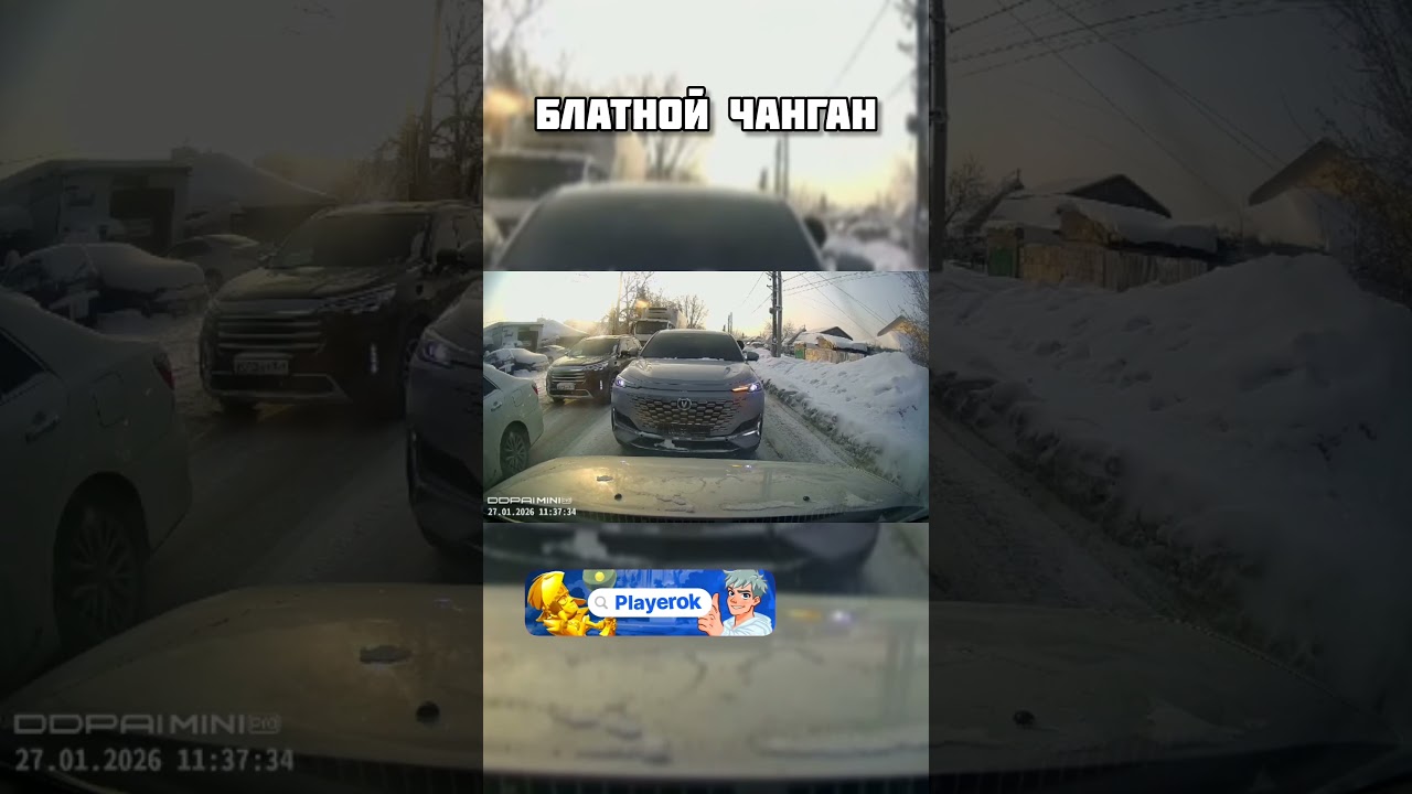ЧАНГОВОД ПЕРЕКРЫЛ ДОРОГУ И БЫКАНУЛ