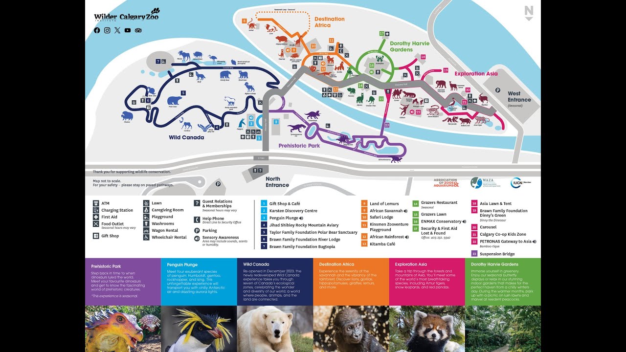 Calgary Zoo Tour 2024