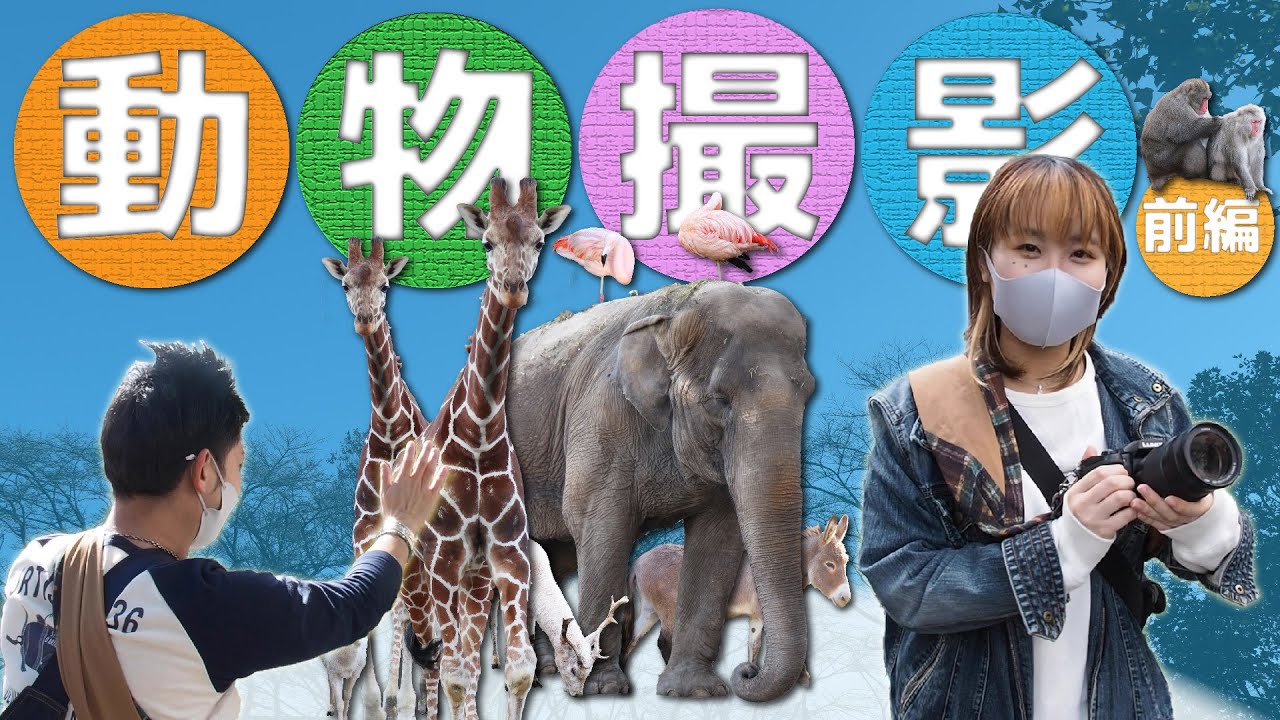 【撮ってきた】Panasonic G99で出動！宇都宮動物園に動物撮影しに行ってきた【ゆきな。】