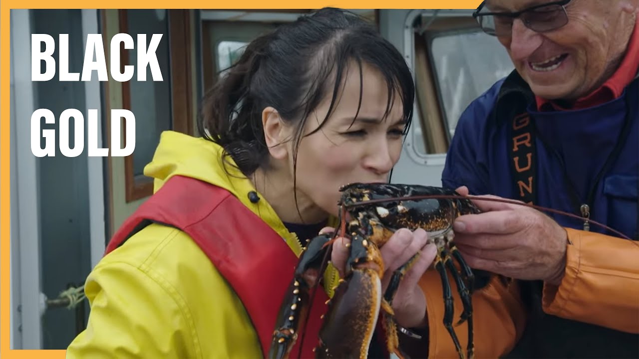 The €8,000 Luxury: Why Swedish Lobster Is The World's Most Expensive