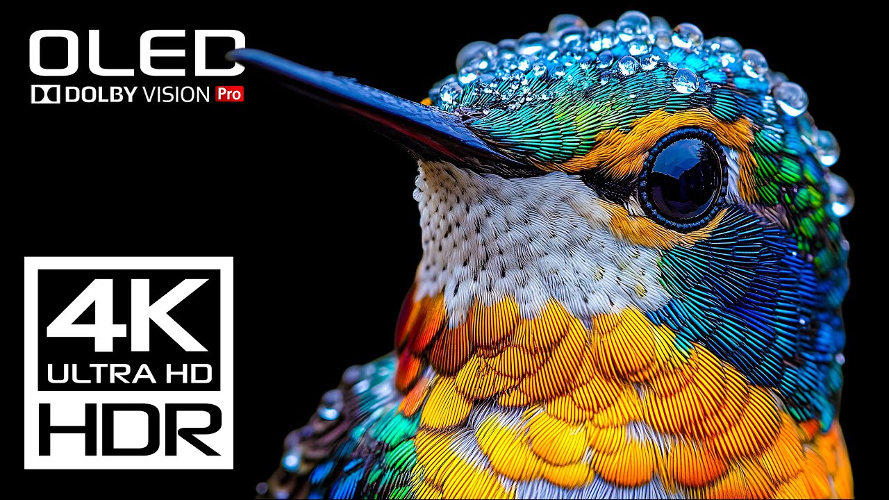 Самое крутое видео 4K 120 FPS HDR Dolby Vision - 4K Видео ULTRA HD