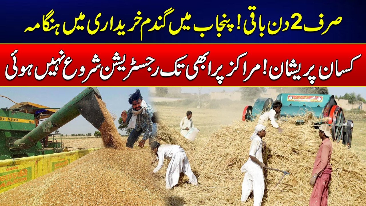 Only 2 Days Left for Punjab Wheat Procurement | Farmers Face Registration Delays | News Update