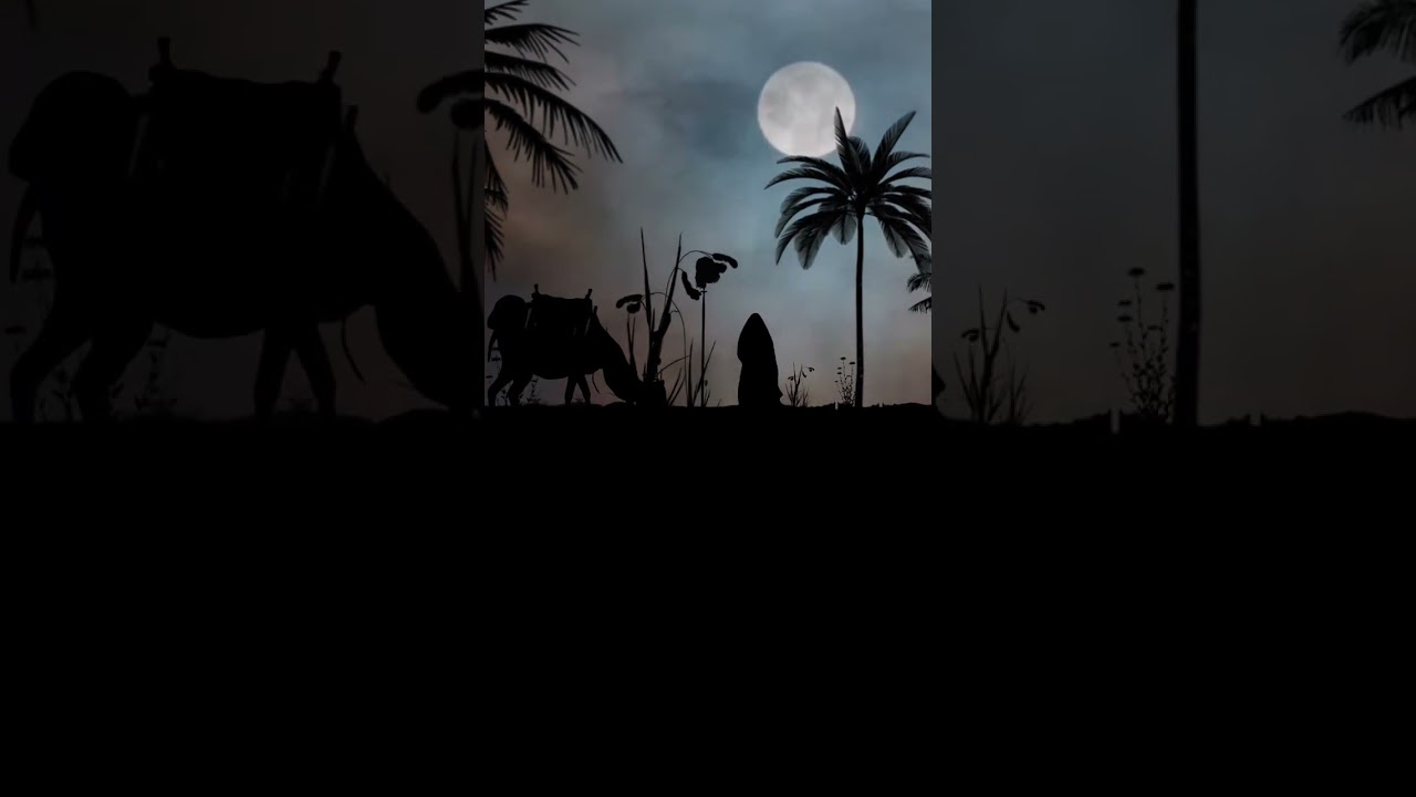 الشيخ محسن الخفاجي نعي للسيدة زينب عليها السلام