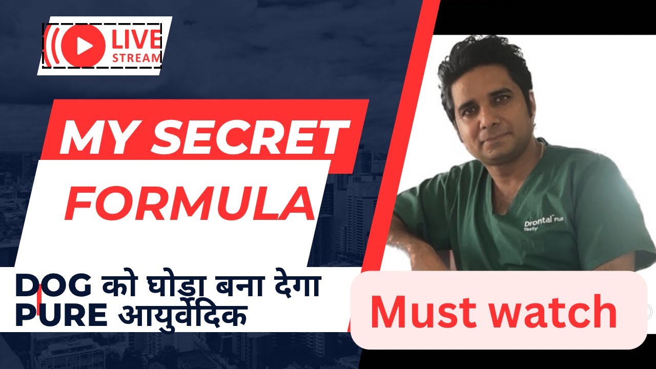 My secret formula for  improving performance and results in male dogs||how to improve Sperm count
