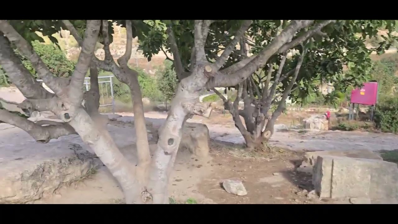 2017 በቅድስት ሀገር ኢየሩሳሌም ፤