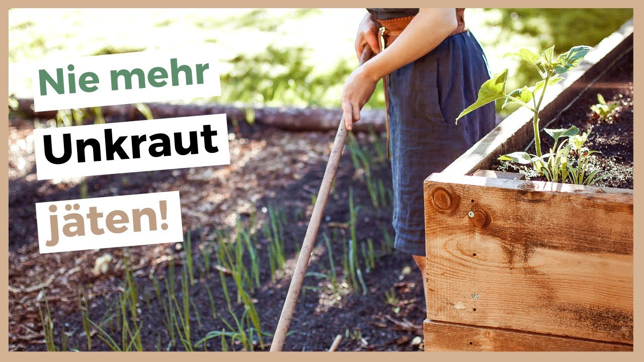 Gem&uuml;segarten ohne Unkraut - So bleibt dein Garten unkrautfrei!