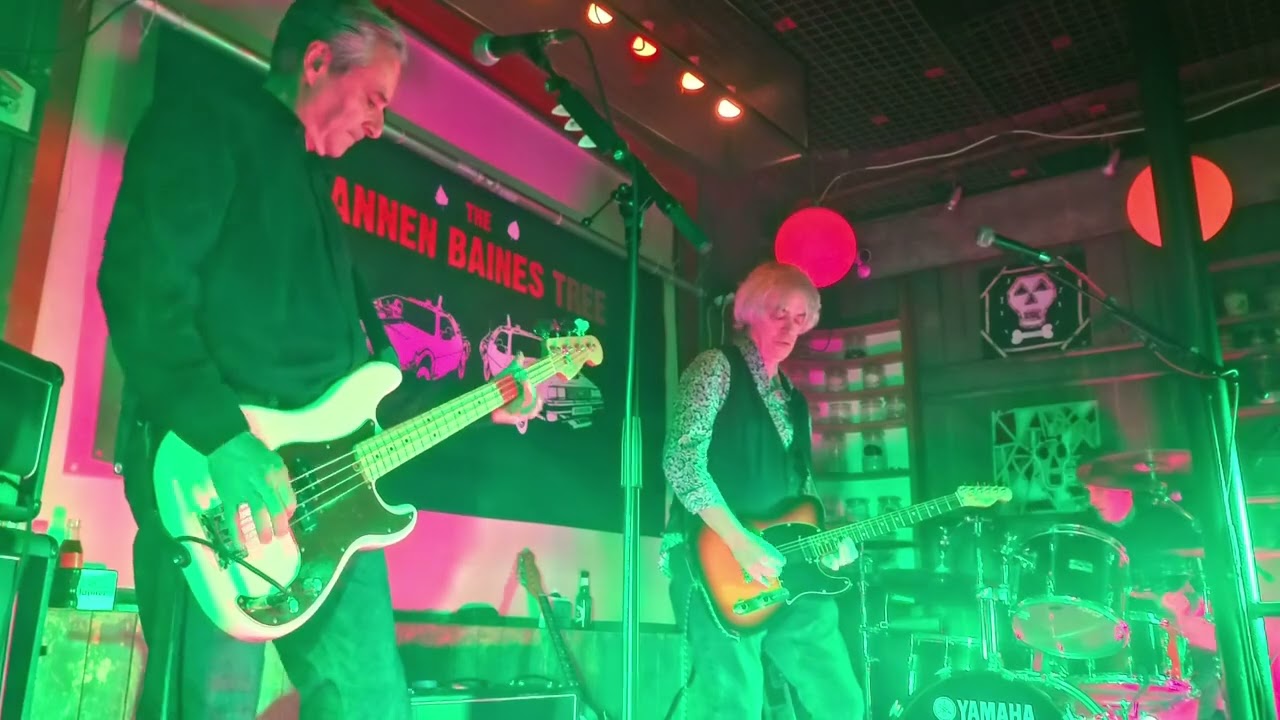 The Tannen Baines Tree live at Krockeb&aacute;r - Buggenhout.