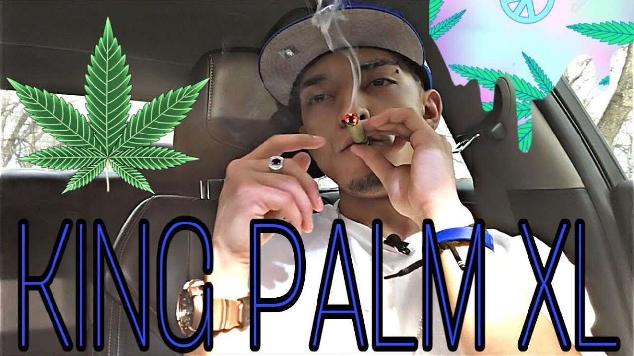 KING PALM XL HOTBOX!!!🔥🌴 #XLBlunt #KingPalm