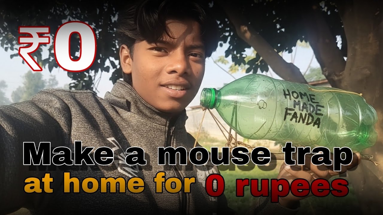 Make a mouse trap at home for 0 rupees