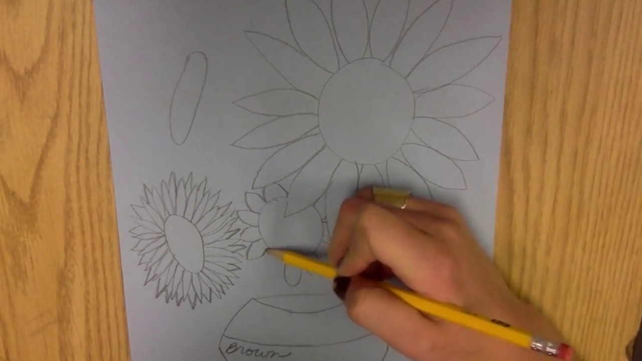 Vincent van Gogh Sunflower Drawing Demo 1