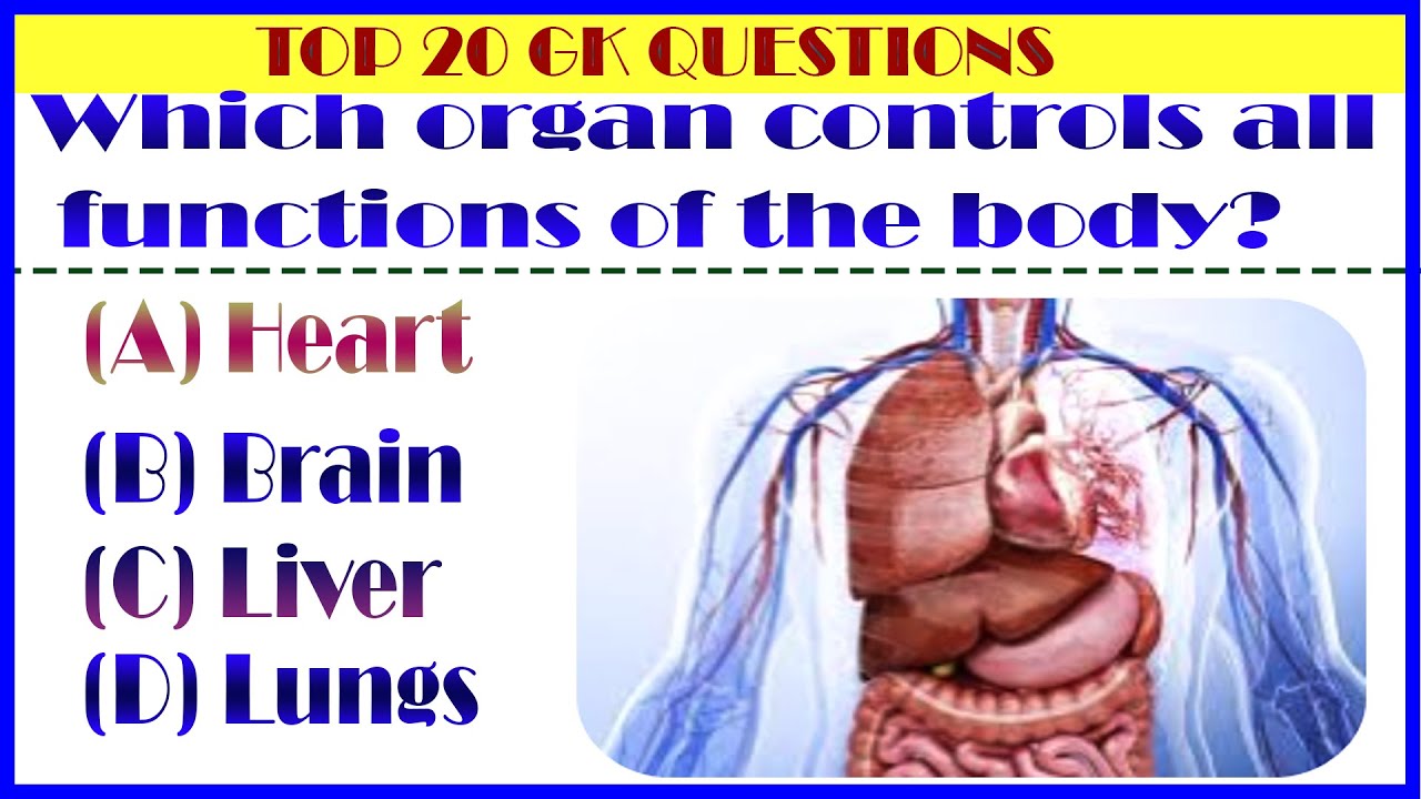 “20 High Scoring GK Questions  Perfect for SSC, Banking & Government Exams”