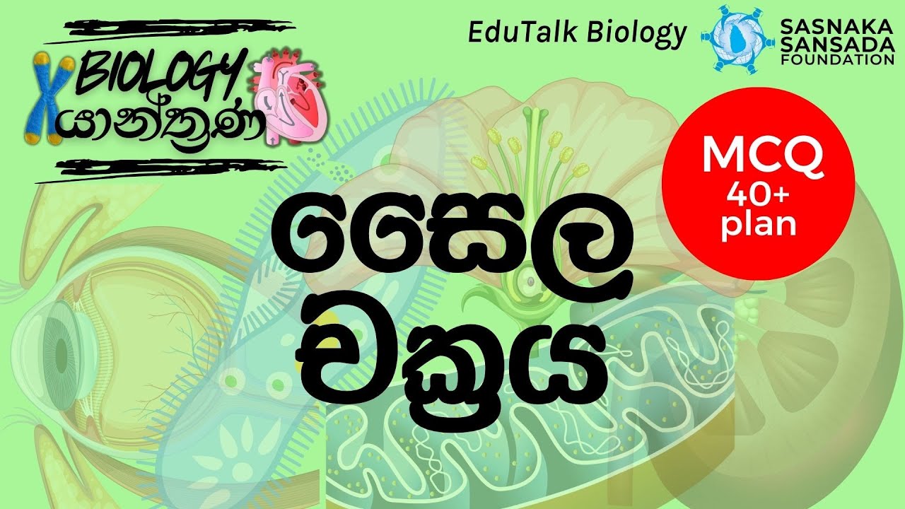 සෛල චක්‍රය | Cell cycle | EduTalk Biology
