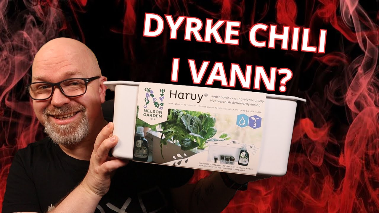 Dette skjer når jeg prøver å dyrke chili selv!